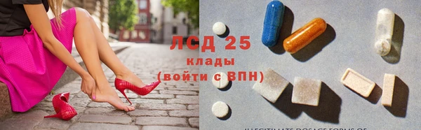 прущие грибы Аркадак