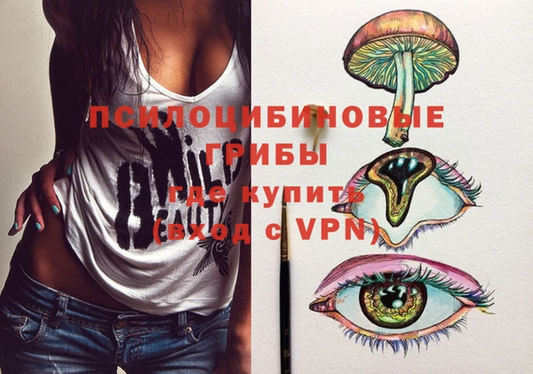 прущие грибы Аркадак
