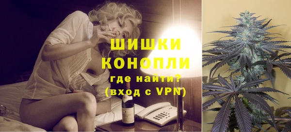 прущие грибы Аркадак
