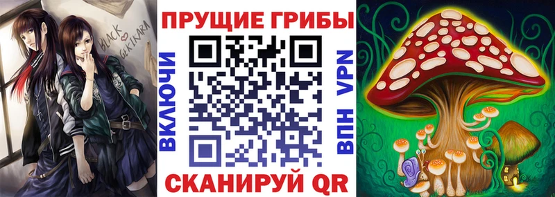 Купить  Старый Крым  Псилоцибиновые грибы Psilocybe 